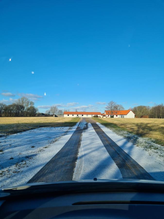 Lovely Room, Easy Access To E45 Highway Rask Molle Esterno foto