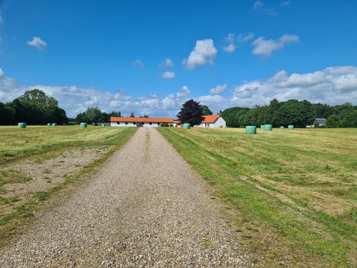 Lovely Room, Easy Access To E45 Highway Rask Molle Esterno foto